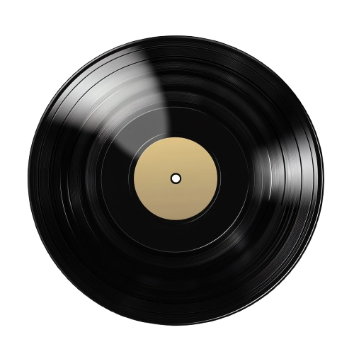 Vinyl record